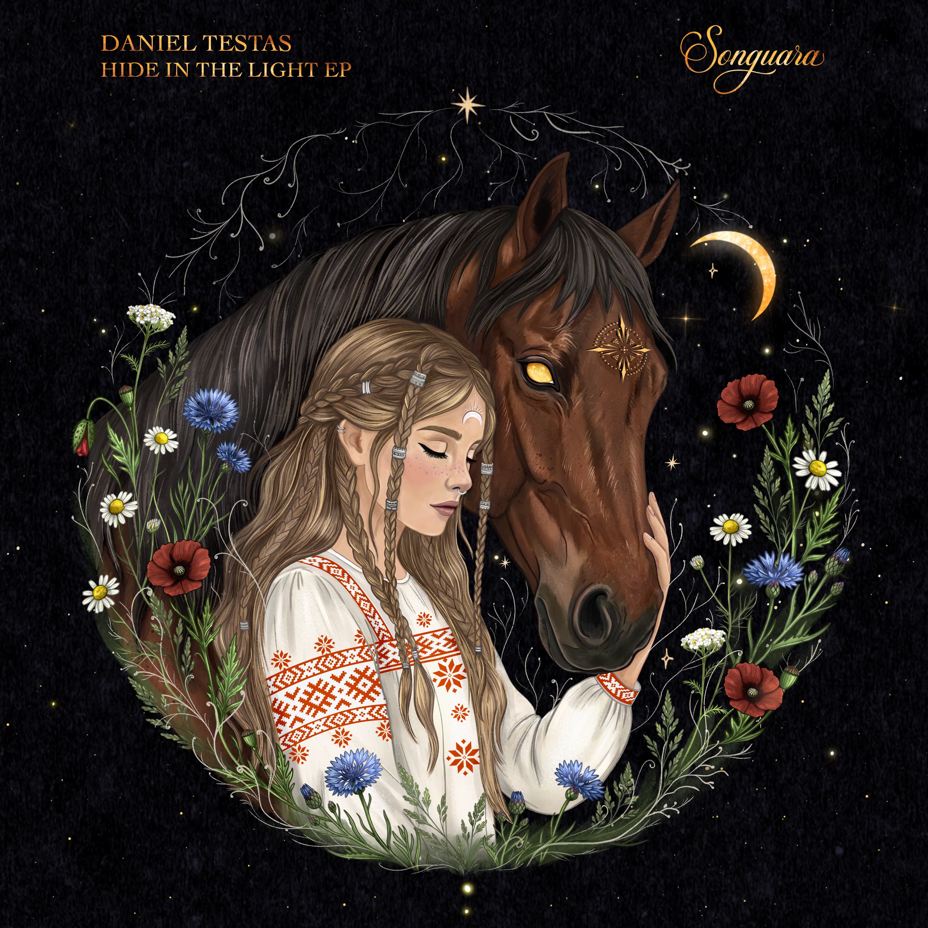 Hide in the Light EP by Daniel Testas