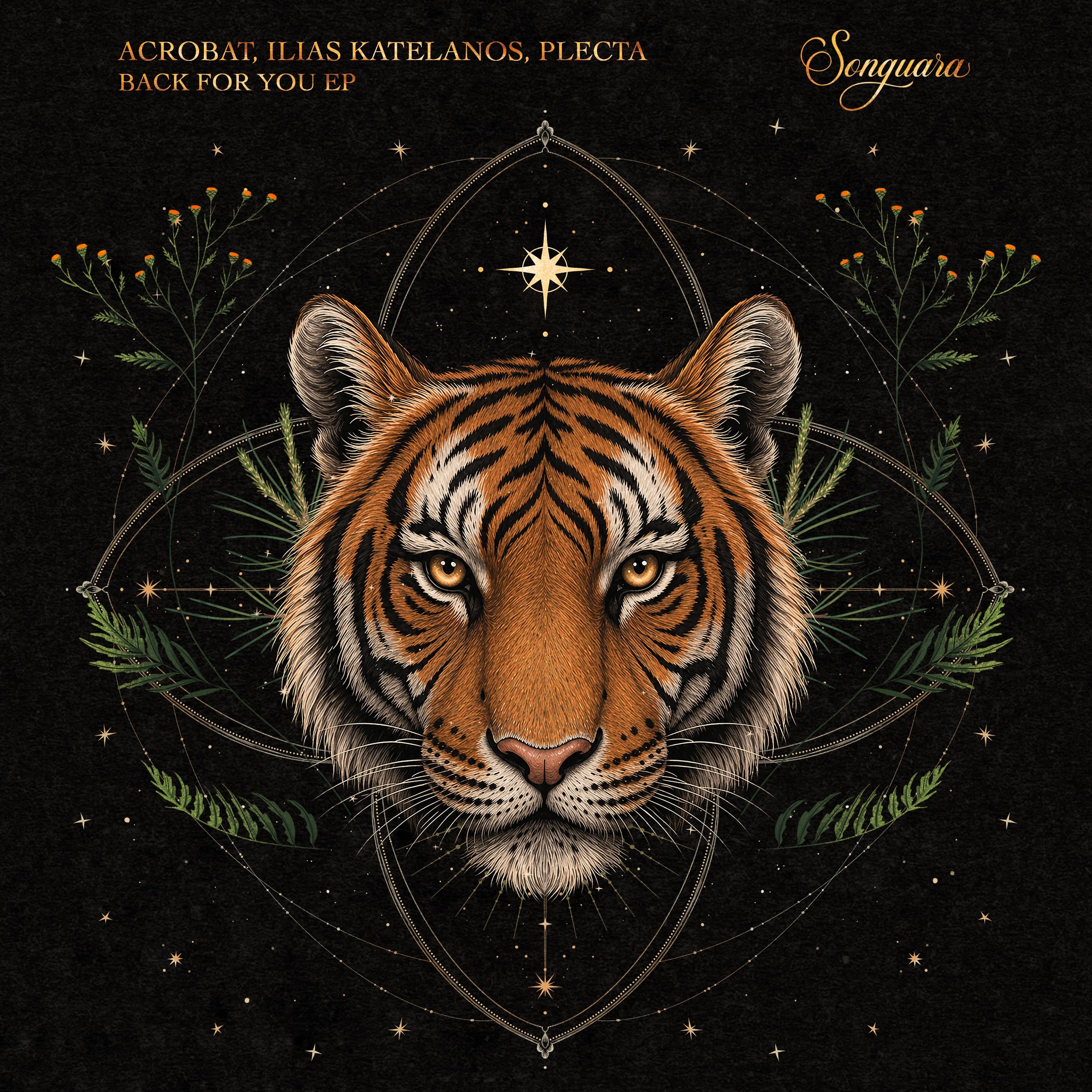 Back for You EP by Acrobat, Ilias Katelanos, Plecta