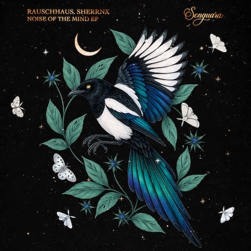 Noise of the Mind EP by Rauschhaus, SHERRNX